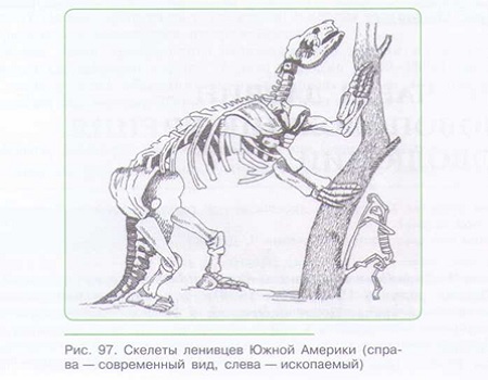 ЧАРЛЗ ДАРВИН — ОСНОВОПОЛОЖНИК УЧЕНИЯ ОБ ЭВОЛЮЦИИ_002